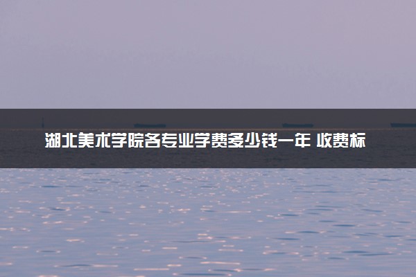湖北美术学院各专业学费多少钱一年 收费标准是什么