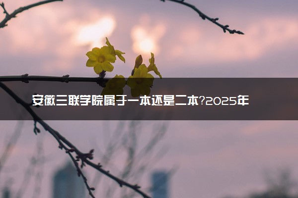 安徽三联学院属于一本还是二本？2025年报考建议及分数线预测