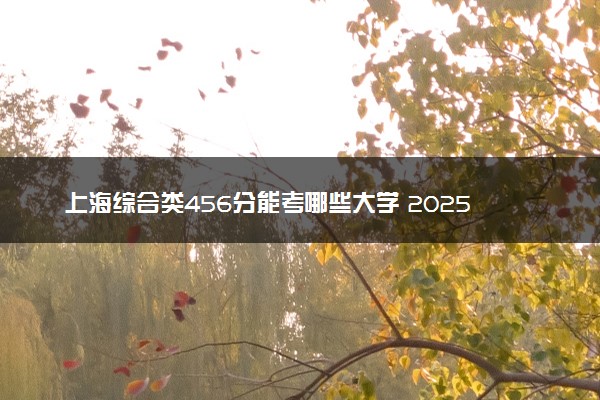 上海综合类456分能考哪些大学 2025考生稳上的大学名单