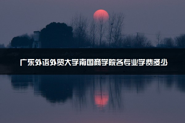广东外语外贸大学南国商学院各专业学费多少钱一年 收费标准是什么