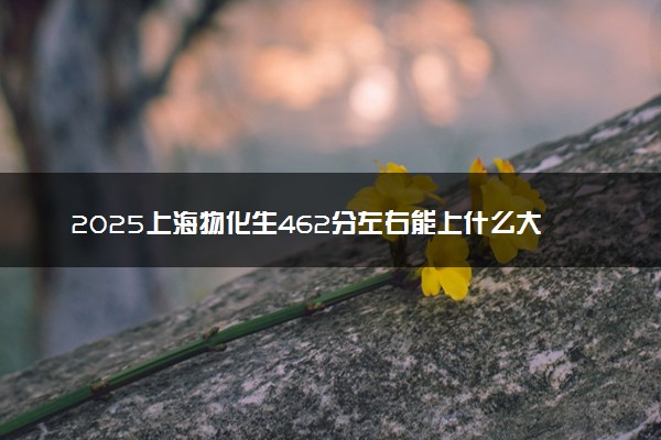 2025上海物化生462分左右能上什么大学 可以报考的院校名单