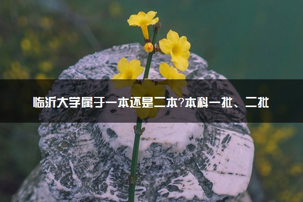 临沂大学属于一本还是二本？本科一批、二批的区别及报考建议