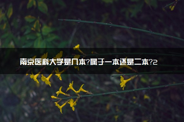 南京医科大学是几本？属于一本还是二本？2025年分数线预测及报考建议