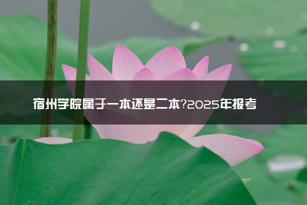 宿州学院属于一本还是二本？2025年报考建议及分数线预测