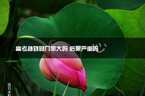 高考抄到的几率大吗 后果严重吗