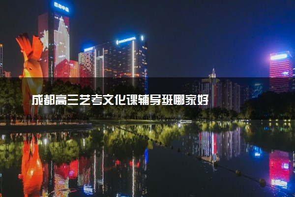成都高三艺考文化课辅导班哪家好