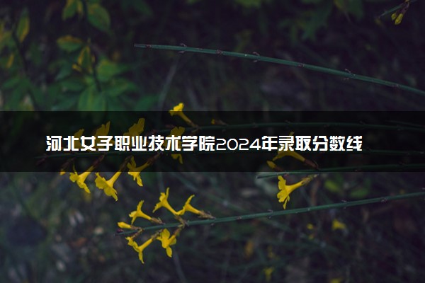 河北女子职业技术学院2024年录取分数线汇总 各省最低分与位次排名及2025报考指南