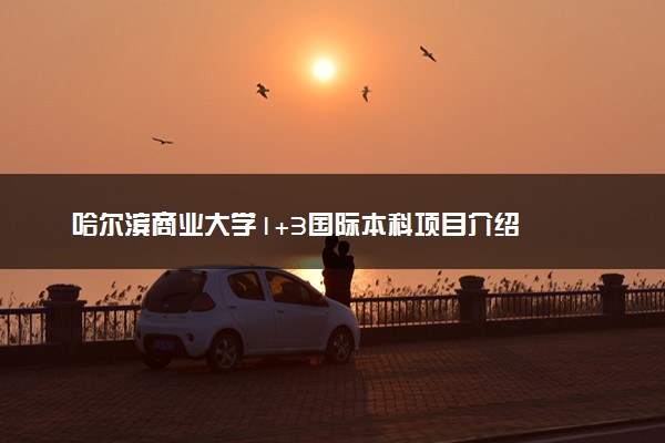 哈尔滨商业大学1+3国际本科项目介绍