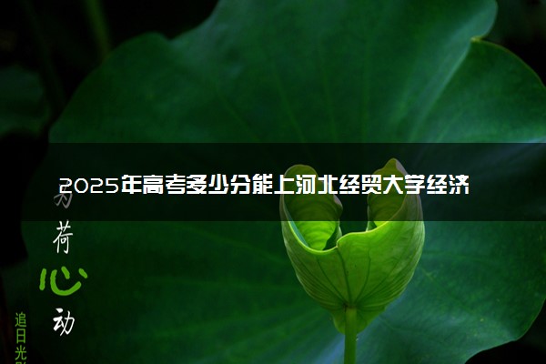2025年高考多少分能上河北经贸大学经济管理学院？预测各省份录取分数线（附2024年数据及报考指南）