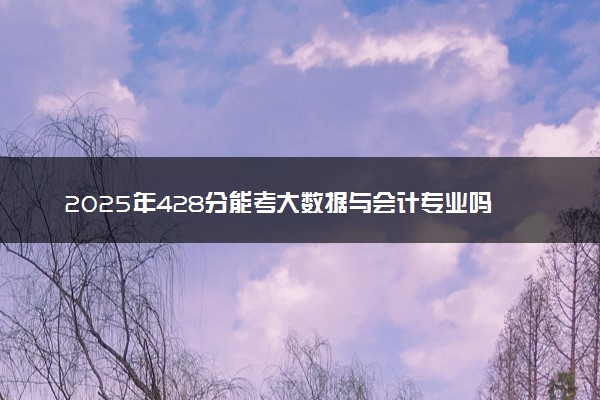 2025年428分能考大数据与会计专业吗 428分大数据与会计专业大学推荐
