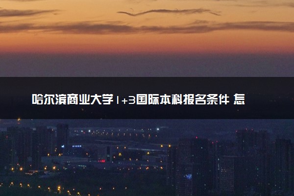 哈尔滨商业大学1+3国际本科报名条件 怎么申请