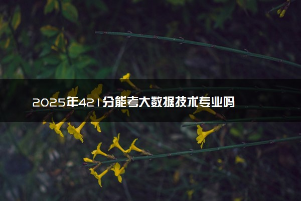 2025年421分能考大数据技术专业吗 421分大数据技术专业大学推荐