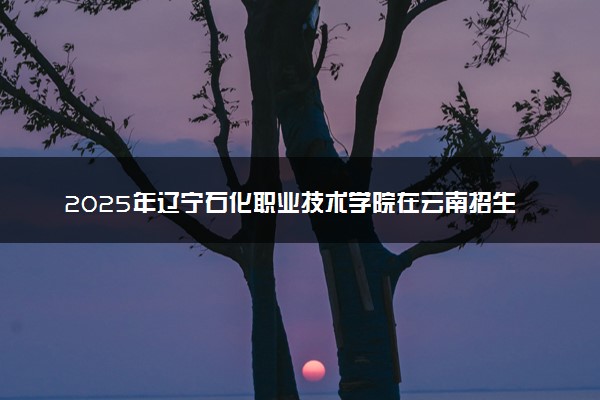 2025年辽宁石化职业技术学院在云南招生代码：2179 专业代码及报考指南