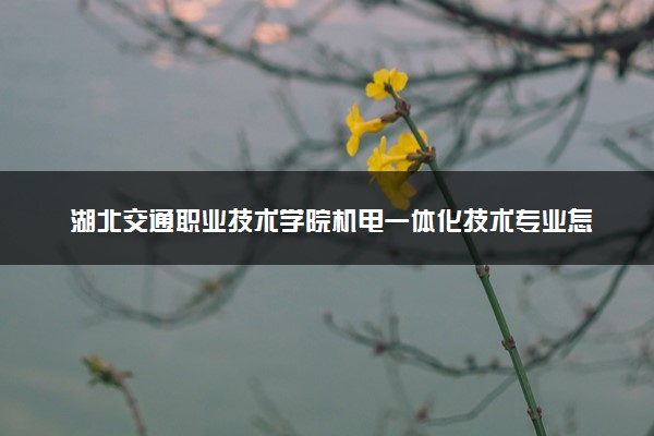 湖北交通职业技术学院机电一体化技术专业怎么样 录取分数线多少