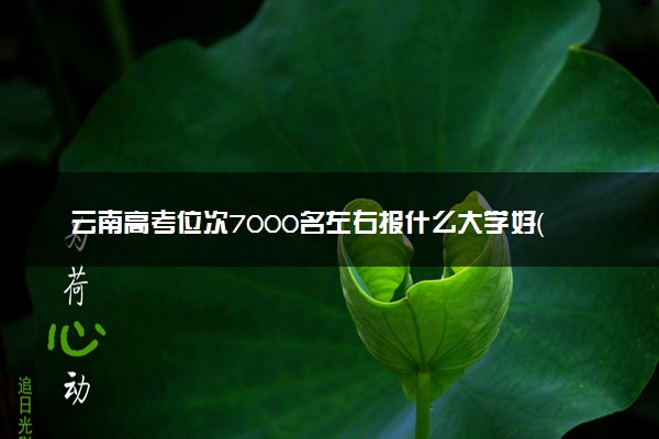 云南高考位次7000名左右报什么大学好（2025年参考）