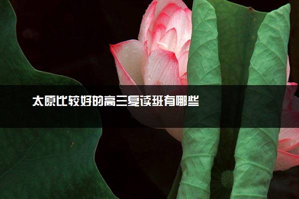 太原比较好的高三复读班有哪些