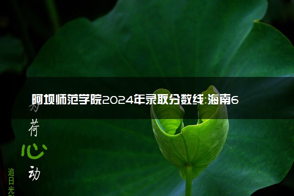 阿坝师范学院2024年录取分数线：海南607分领跑，青海434分垫底 2025报考建议及事项
