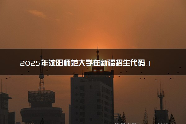 2025年沈阳师范大学在新疆招生代码：1140 专业代码及报考指南