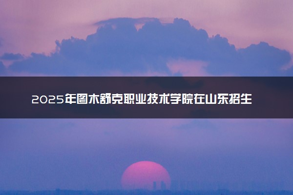 2025年图木舒克职业技术学院在山东招生代码：E825 专业代码及报考指南