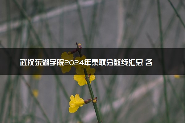 武汉东湖学院2024年录取分数线汇总 各省最低分与位次排名及2025报考指南