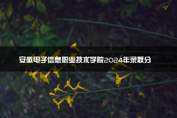 安徽电子信息职业技术学院2024年录取分数线汇总 各省最低分与位次排名及2025报考指南