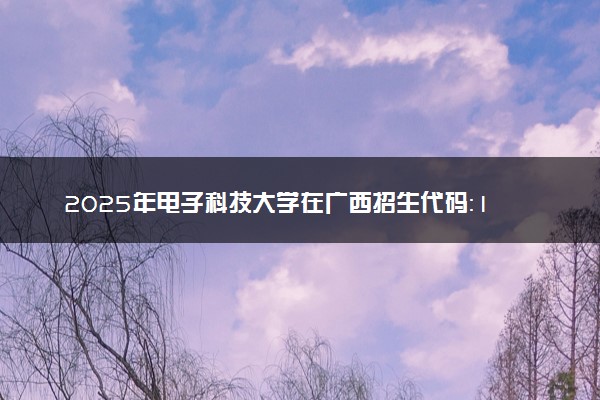2025年电子科技大学在广西招生代码：10614 专业代码及报考指南
