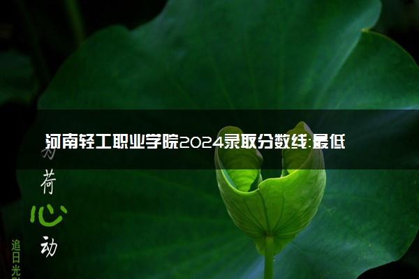 河南轻工职业学院2024录取分数线：最低204分 附2025年报考建议及注意事项