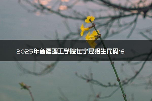 2025年新疆理工学院在宁夏招生代码：6562 专业代码及报考指南