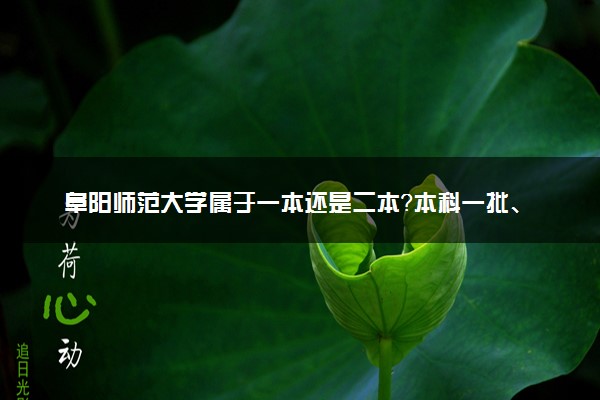 阜阳师范大学属于一本还是二本？本科一批、二批的区别及报考建议