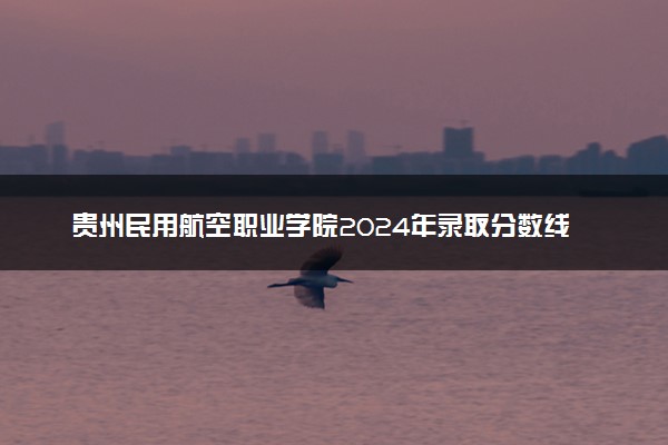 贵州民用航空职业学院2024年录取分数线汇总 各省最低分与位次排名及2025报考指南