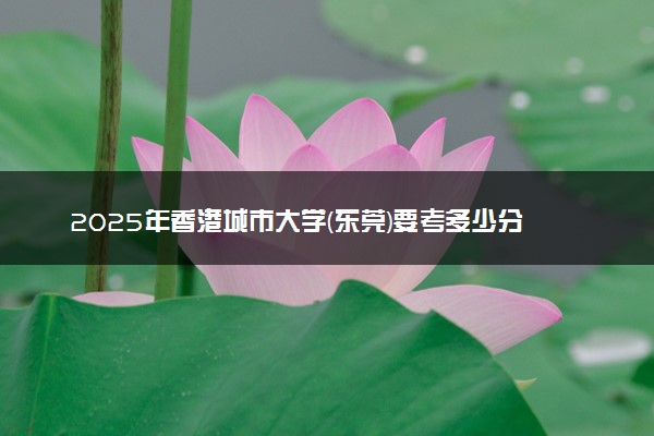 2025年香港城市大学(东莞)要考多少分才能上？历年录取分数线及报考指南（含预测）