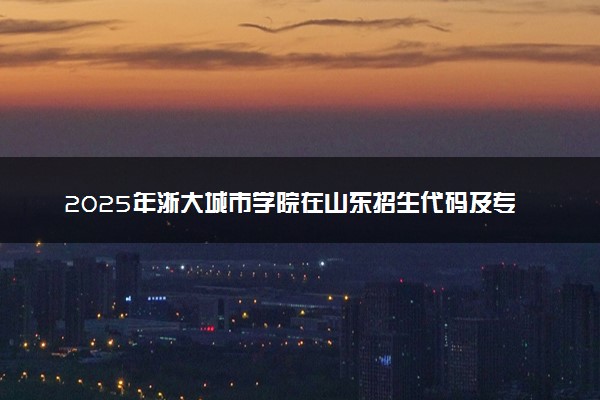 2025年浙大城市学院在山东招生代码及专业代码 浙大城市学院山东代码是多少？怎么查询？