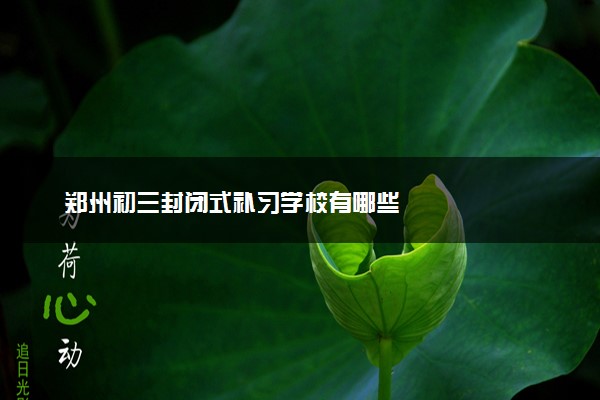 郑州初三封闭式补习学校有哪些