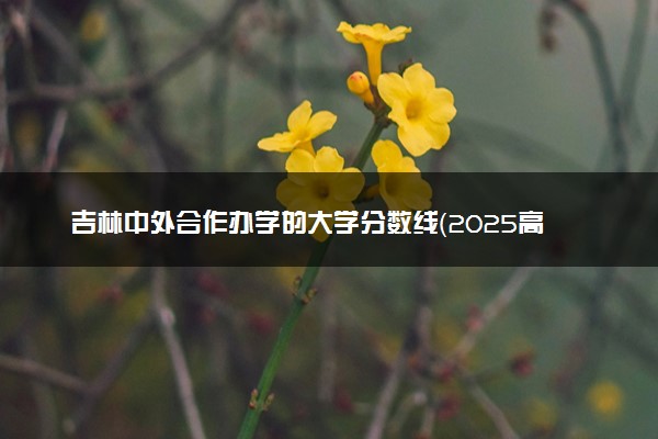 吉林中外合作办学的大学分数线（2025高考参考）