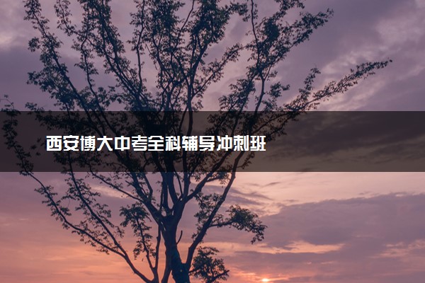 西安博大中考全科辅导冲刺班