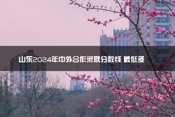山东2024年中外合作录取分数线 最低多少分能考上
