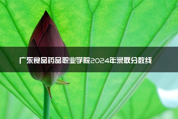广东食品药品职业学院2024年录取分数线汇总 各省最低分与位次排名及2025报考指南