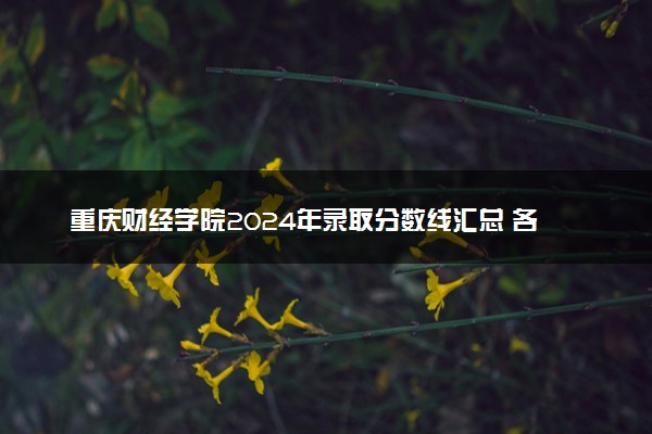 重庆财经学院2024年录取分数线汇总 各省最低分与位次排名及2025报考指南