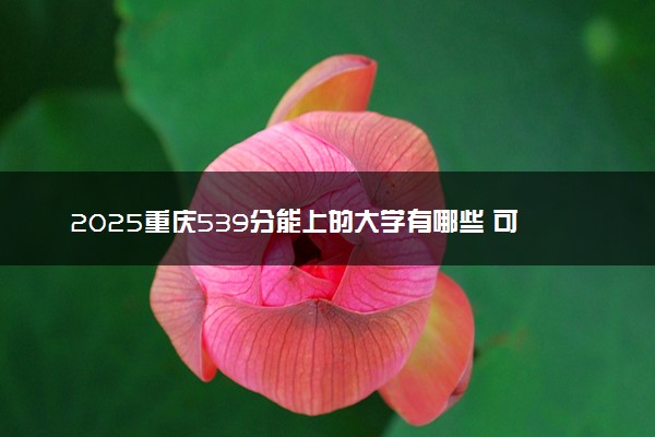 2025重庆539分能上的大学有哪些 可以报考院校名单