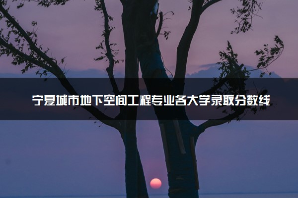 宁夏城市地下空间工程专业各大学录取分数线：最低414分能上 开设院校及位次