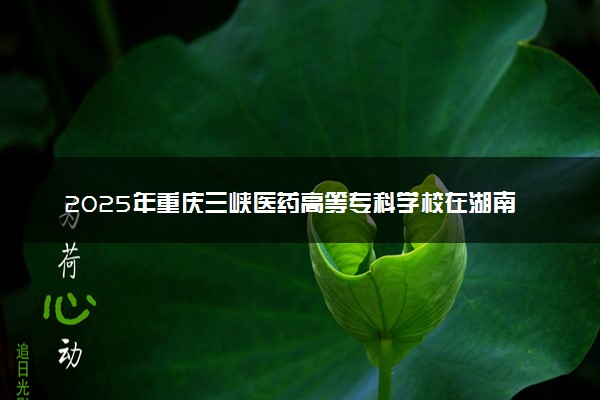 2025年重庆三峡医药高等专科学校在湖南招生代码及专业代码 重庆三峡医药高等专科学校湖南代码是多少？怎么查询？