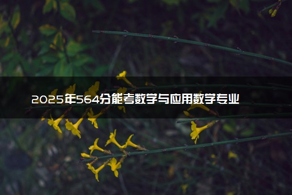 2025年564分能考数学与应用数学专业吗 564分数学与应用数学专业大学推荐