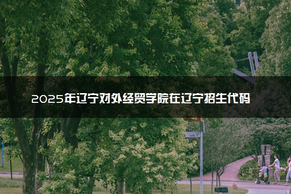 2025年辽宁对外经贸学院在辽宁招生代码：0841 专业代码及报考指南