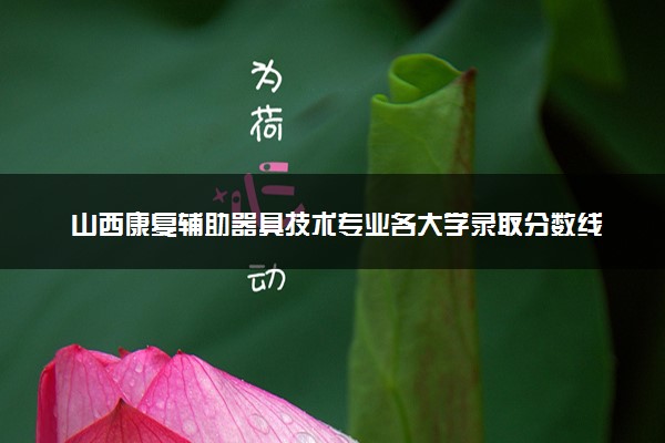 山西康复辅助器具技术专业各大学录取分数线：最低301分能上 开设院校及位次