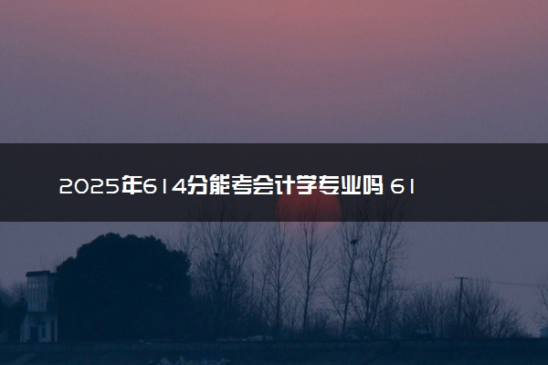 2025年614分能考会计学专业吗 614分会计学专业大学推荐