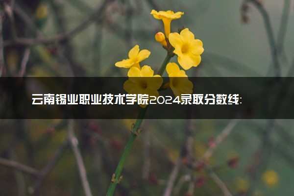 云南锡业职业技术学院2024录取分数线：最低235分 附2025年报考建议及注意事项