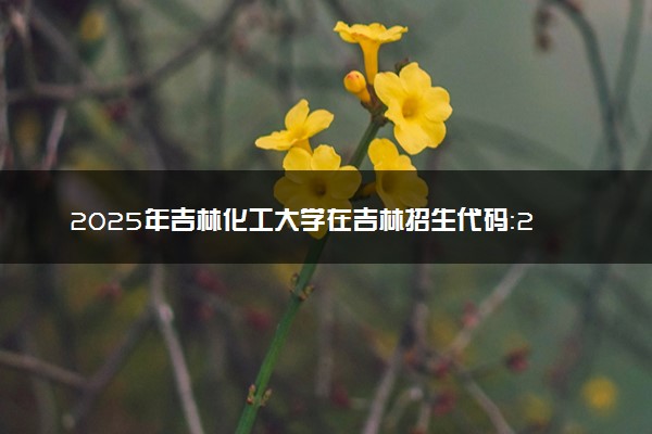 2025年吉林化工大学在吉林招生代码：2215 专业代码及报考指南