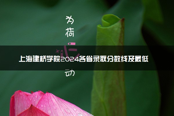 上海建桥学院2024各省录取分数线及最低位次是多少