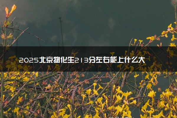 2025北京物化生213分左右能上什么大学 可以报考的院校名单