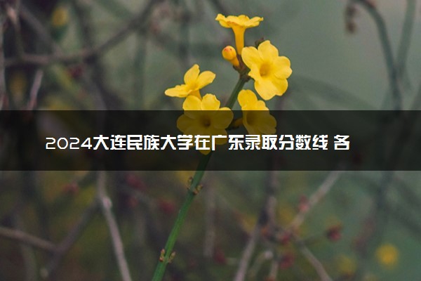 2024大连民族大学在广东录取分数线 各专业分数及位次